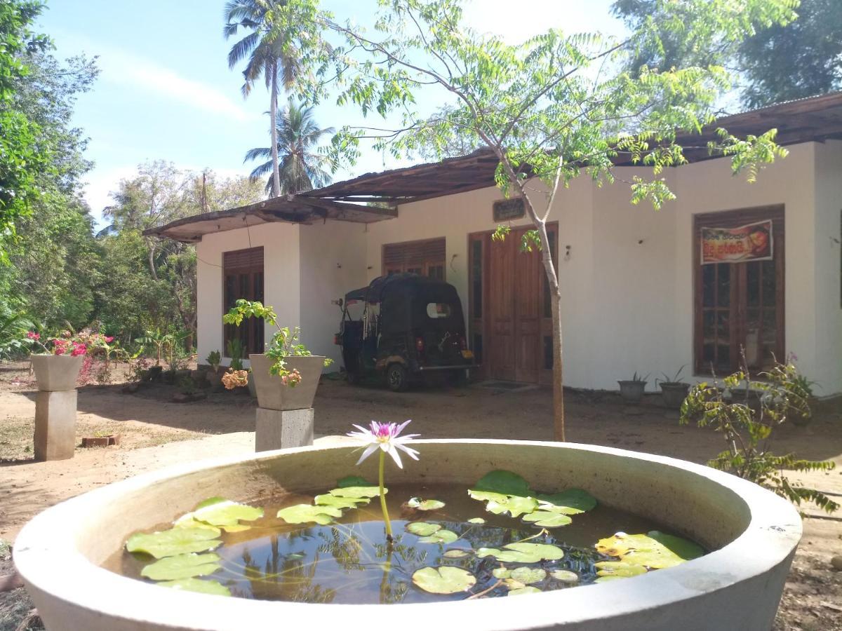 Silent Peacock Villa And Peacock Cafe Tangalle Bagian luar foto